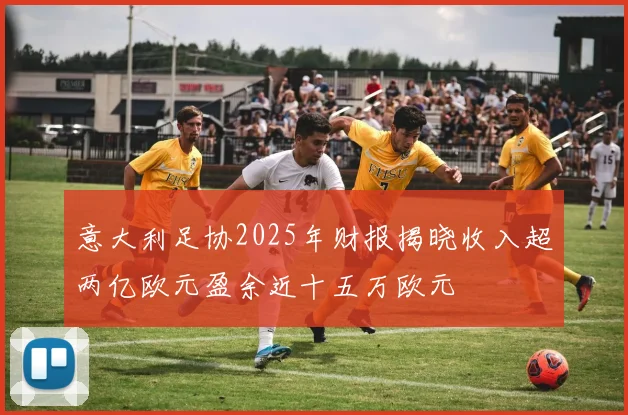 意大利足协2025年财报揭晓收入超两亿欧元盈余近十五万欧元