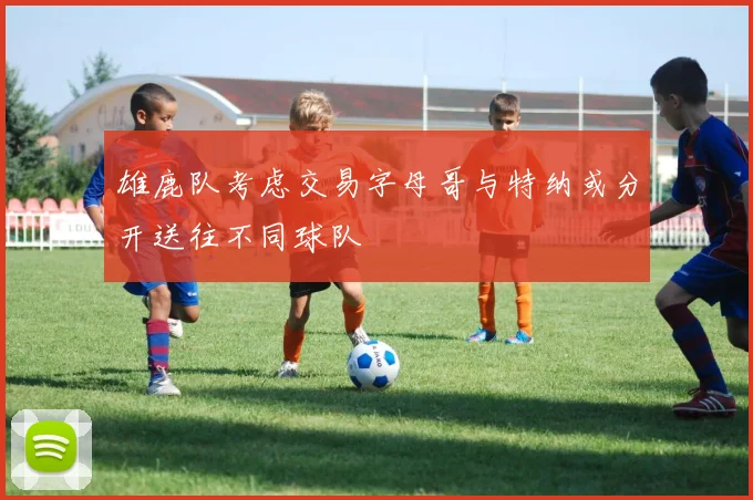 雄鹿队考虑交易字母哥与特纳或分开送往不同球队