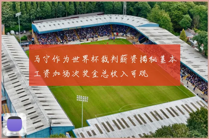 马宁作为世界杯裁判薪资揭秘基本工资加场次奖金总收入可观